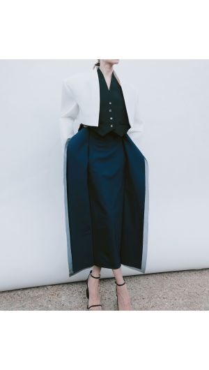 Side Panel Skirt